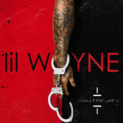 Lil Wayne feat Shanell - Admit It