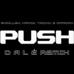 Skrillex, Hamdi, Taichu & Offaiah - Push (D A L É Remix)