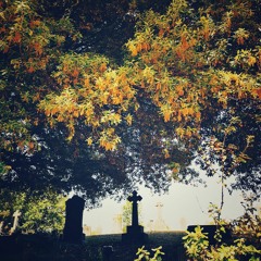 Friends. How many of us have them?