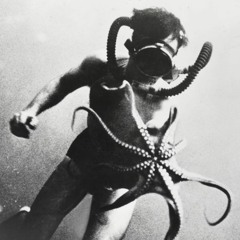 orange moon / barley tea