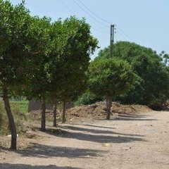 ولقد خلقنا الانسان