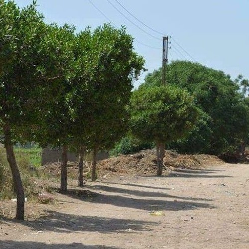 ولقد خلقنا الانسان