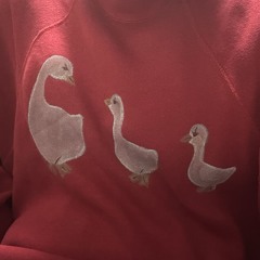 あひるびより