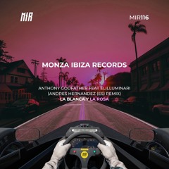 MIR114: Anthony Godfather - La Blanca y la Rosa (Andres Hernandez (ES) Remix) [Monza Ibiza Records]