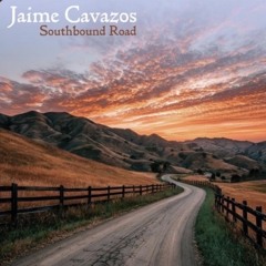 Cosmic Dust and Light