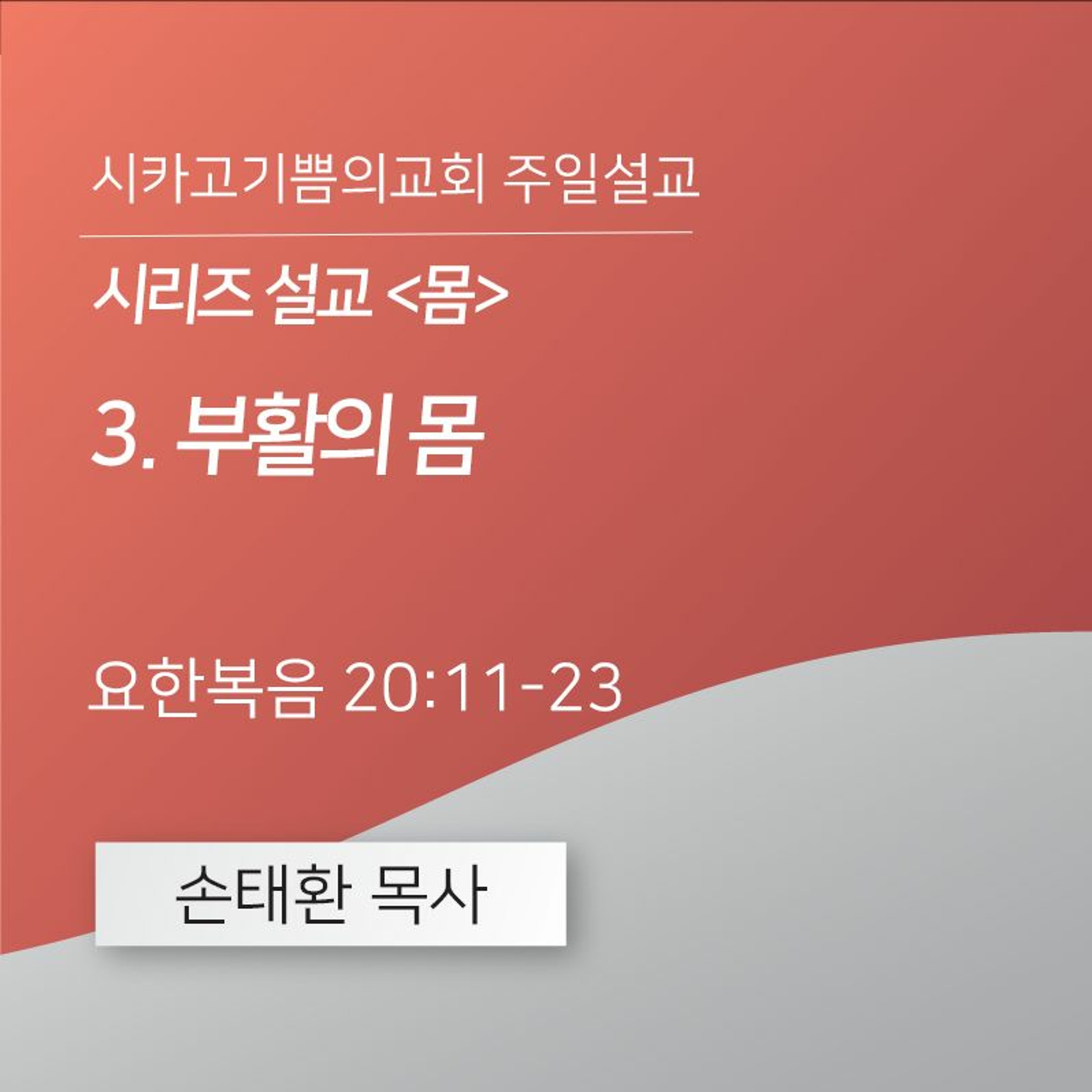 시리즈 설교 <몸> 3. 부활의 몸  | 손태환 목사 | 시카고 기쁨의 교회 - 20240128 episode artwork