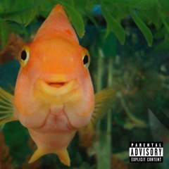 LVL x No Pole -  A$AP Rocky and Don Toliver