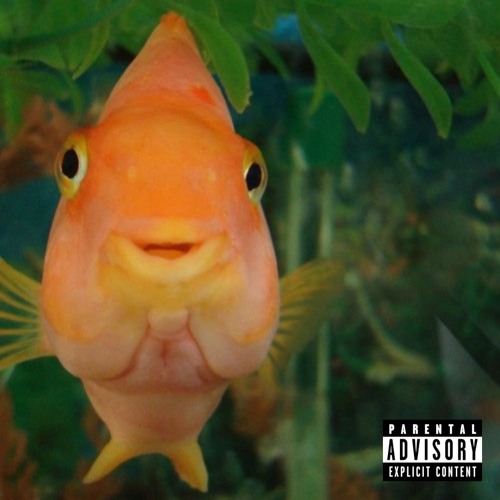 LVL x No Pole -  A$AP Rocky and Don Toliver