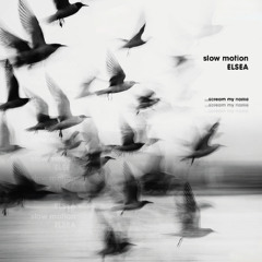 slow motion (scream my name)