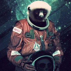 Space Lemur Adventure