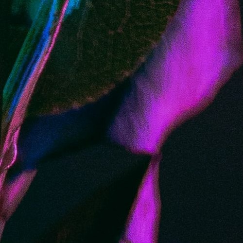 DOGBLOOD - TURN  on the lights