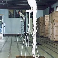 尾長鶏の掛け軸