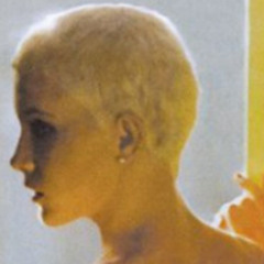 thevaporz tpc399 micalizzi