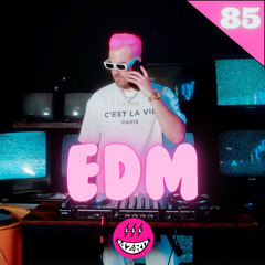 EDM Mix 2024 | #85 | Hardwell, Will Sparks, Olly James, AVAO, KAAZE | Best of EDM 2024 by DJ WZRD