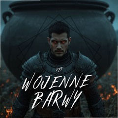 Wojenne Barwy
