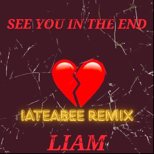 Liam - See You in The End (iateabee Remix)
