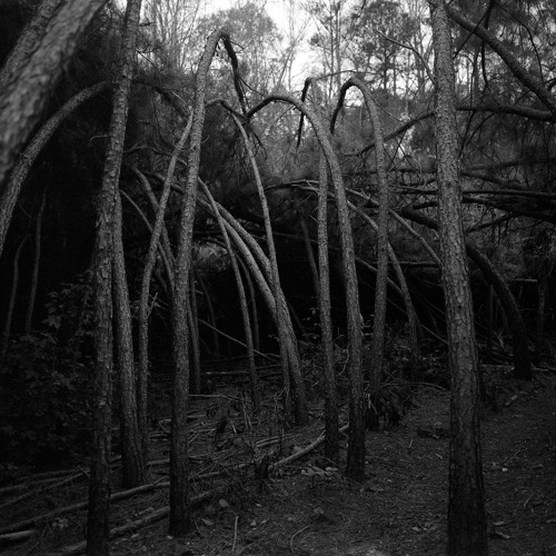 corduroy mix @ Mana Pool 11.28.21