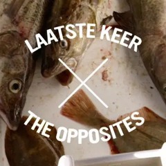 The Opposites - Laatste keer - IBI mix