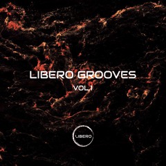 Libero Grooves Vol.1 - Sample Pack (OUT NOW)