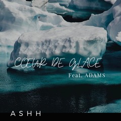 Coeur De Glace (Feat. ADAMS)