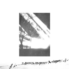 𝒑𝒓𝒆𝒎𝒊𝒆𝒓𝒆: Mortalization Of Being - Chitin Incantation [DC-006]