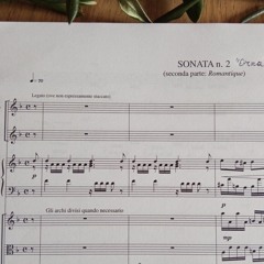 Sonata 2 for Piano "Ornata" (Part II) Romantique