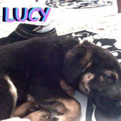 Alex G - LUCY