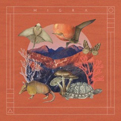 Copy of ancient organic downtempo folktronika tribal
