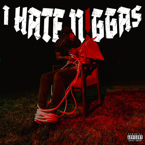 I HATE N!GGAZ