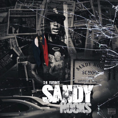 Sandy Hooks