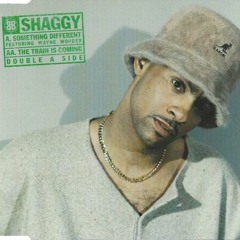Shaggy - Why You Treat Me So Bad ( Salam Clean Radio )