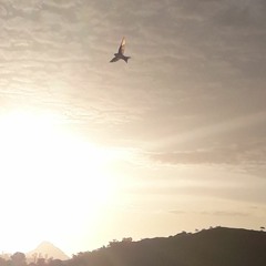 Dormidela: Sheltered By The Air