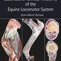 ACCESS EBOOK 📙 Essentials of Clinical Anatomy of the Equine Locomotor System by  Jea