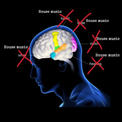 The Five Senses