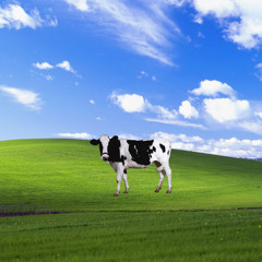 DIGITAL COW