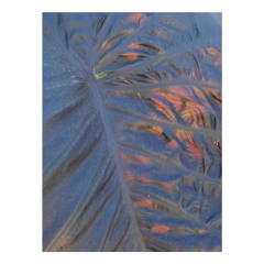 risolee - New Park - Vinyl Set Works EP. 33 - 2025