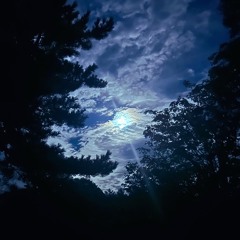 LAB.vol 6 -opening set-