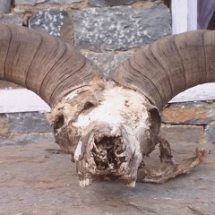 A Churchill To Die On