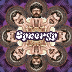 Synergy