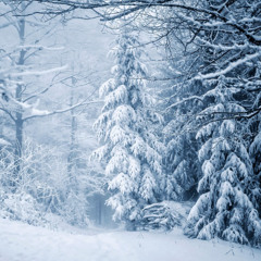 H@lf-one @ Home - A Cold Winter Night 17 01 2025