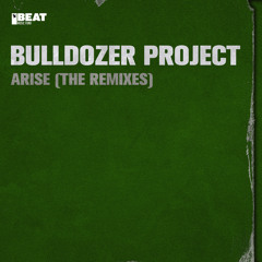 Arise (The Beholder & Zany Remix)