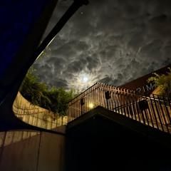 mojo at Open Ground (for Instinkt Lab)