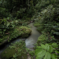 Encanto da Jibóia (Fabricio Ahau)