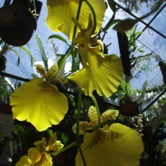 13.06.2022 - Cap. XI - Amar o Próximo Como a Si Mesmo - O Egoísmo (6)