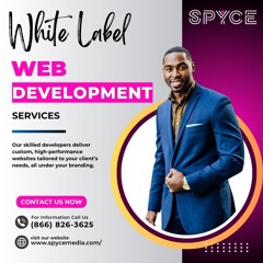 Scalable White Label Web Development Services For Your Agency
