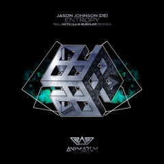 Jason Johnson (DE) -Entropy (HXTC Remix)