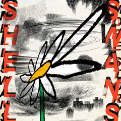 There's Treasure Everywhere