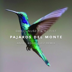 Dario Nuñez & Dj Fist - Pajaros Del Monte (Angel Rodriguez Remix) / FREE DOWNLOAD