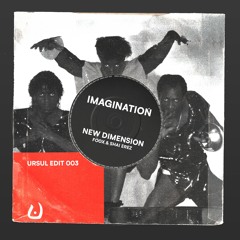 Imagination - New Dimension (Foox, Shai Erez Edit)