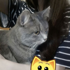 #уничтожен (prod. 7pm, 90n1ght)